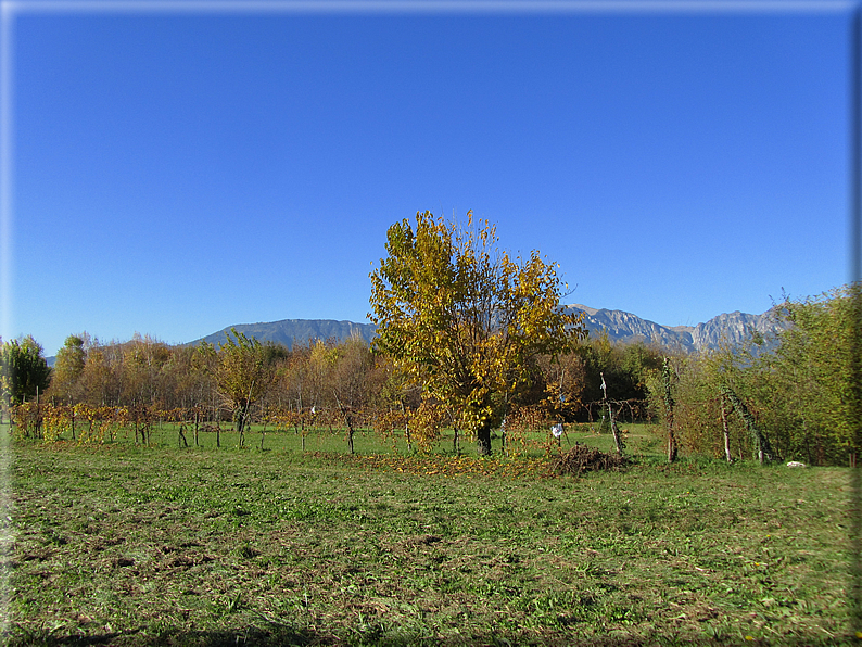 foto Alle pendici del Monte Grappa in Autunno